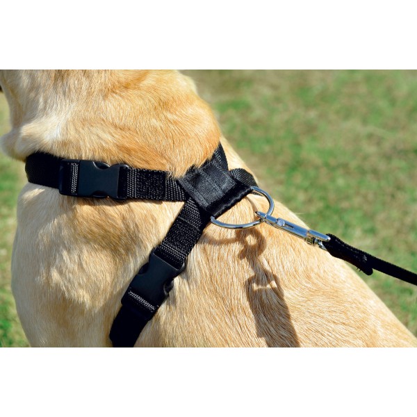 Système d'attache chien voiture True Love SECURY ceinture de sécurité