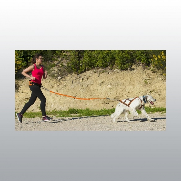 Laisse de Traction Canicross One I-Dog - Laisses Chien - Activité  extérieure I-Dog