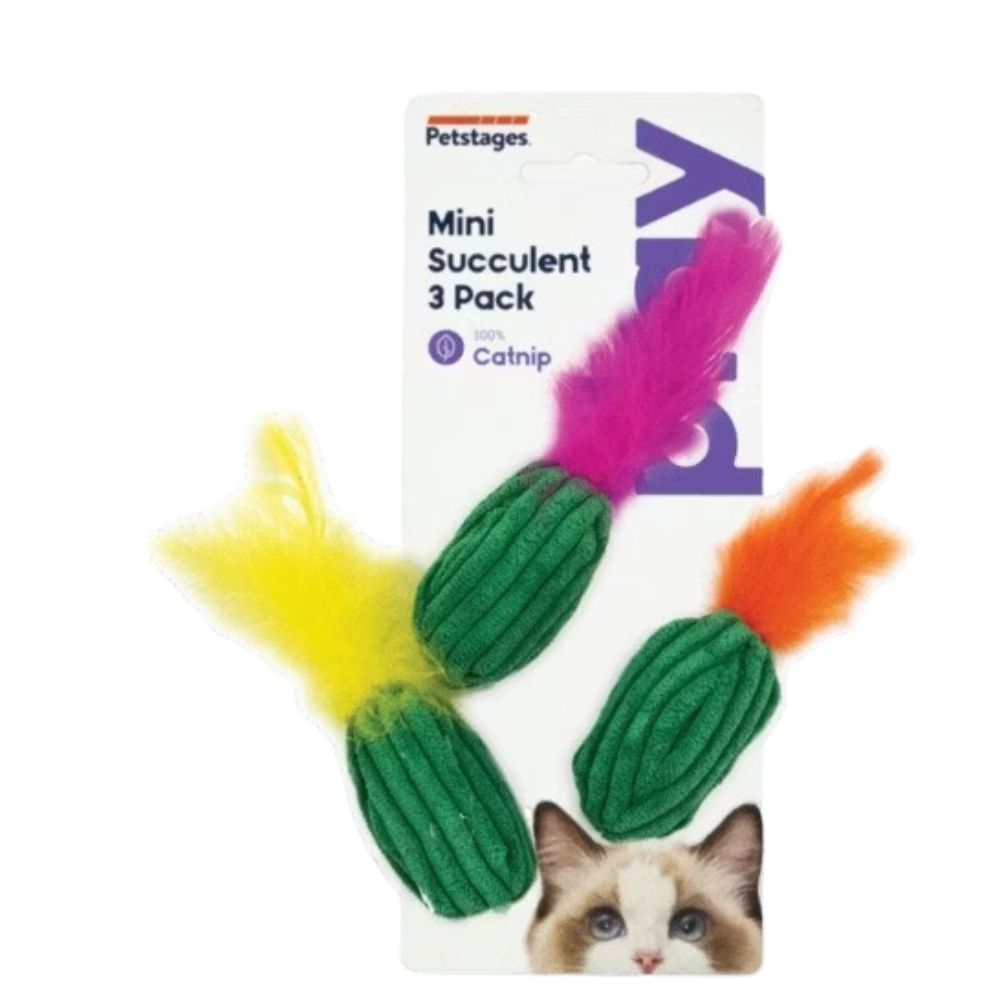 Jouet peluche cactus pour chat