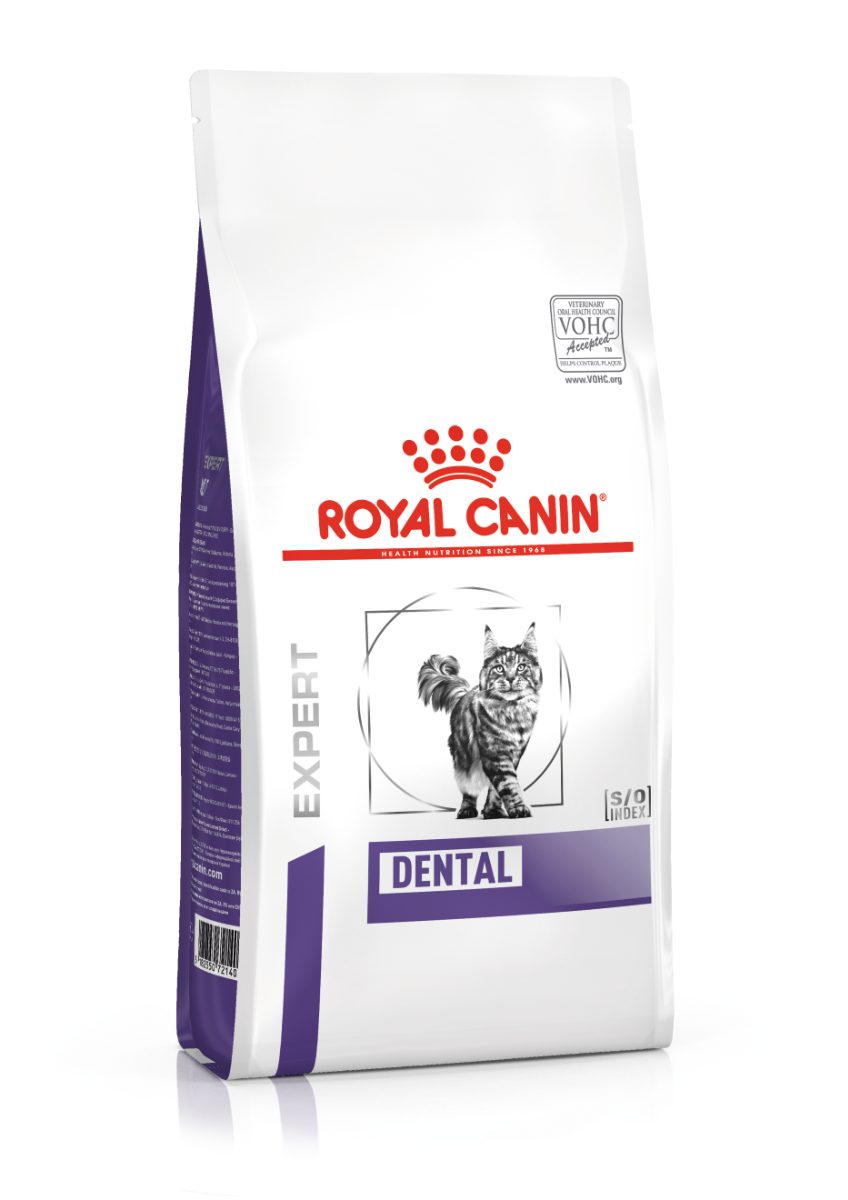 Explosieven Subsidie aansporing Royal Canin Dental - Kattenvoer - 1,5kg - Droogvoer Kat - Voer Royal Canin  Veterinary Diet | Pharmapets
